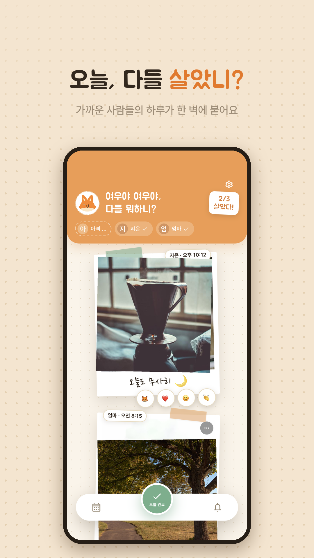스크린샷: 모임원들의 오늘이 한 벽에 모인 피드 화면