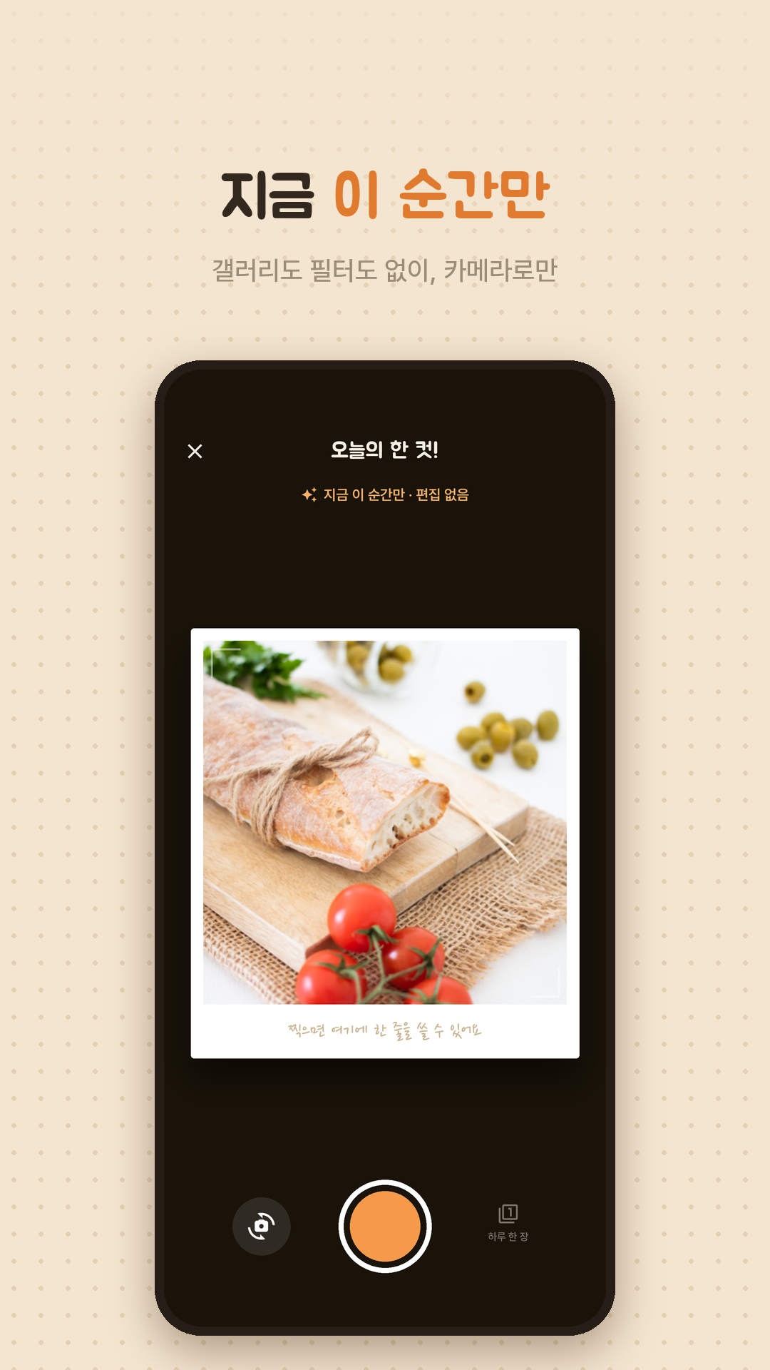 스크린샷: 갤러리 없이 카메라로만 찍는 인증 화면